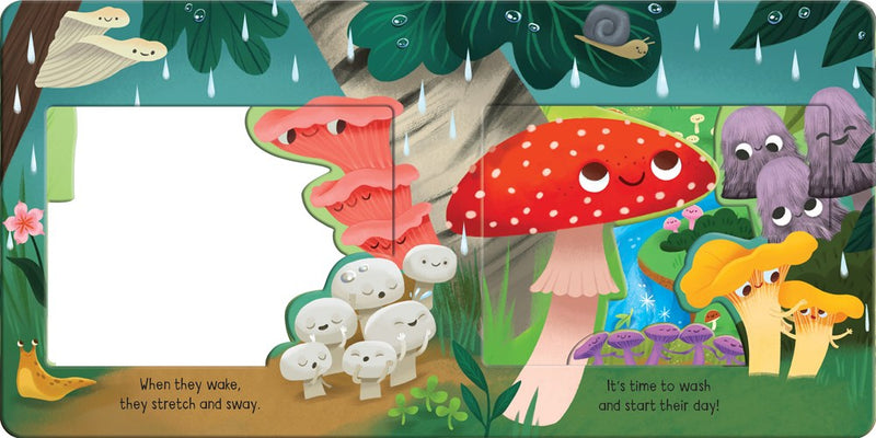 Meet the Mushrooms! (board book)