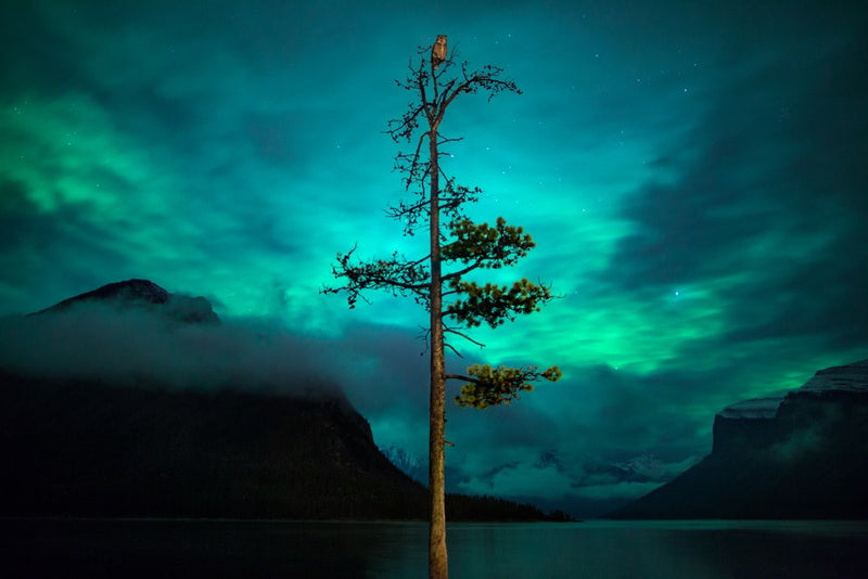 Spirits in the Sky: Northern Lights Photography