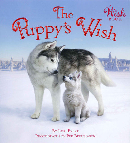 Puppy's Wish    (A Wish Book)