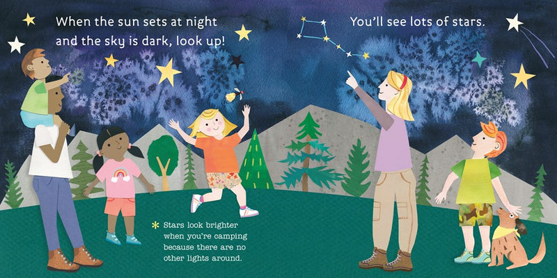 Let's Go Camping (Board Book)