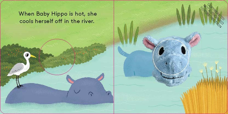 Baby Hippo: Finger Puppet Book