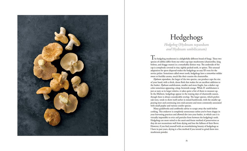 Untamed Mushrooms: From Field to Table