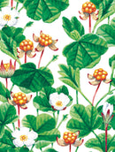 Berry Notecards (coming soon)