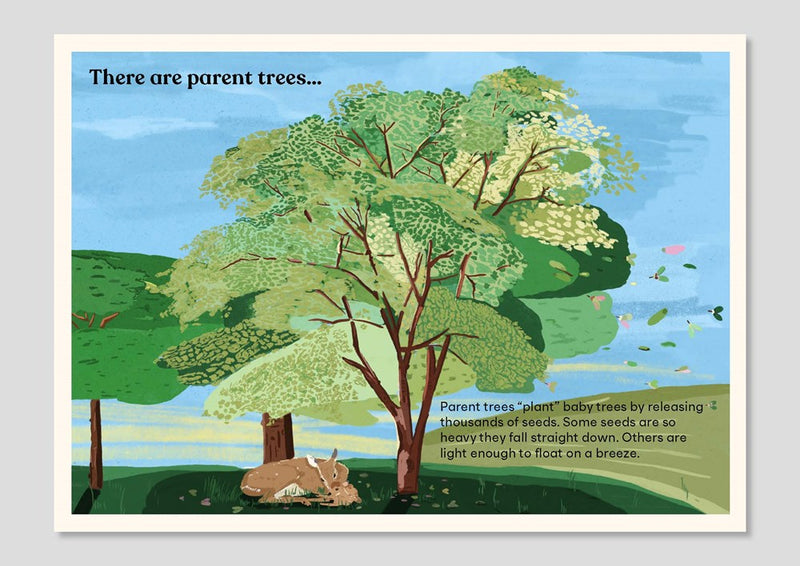 A Family of Trees (fold-out board book)