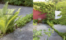 Scandinavian Gardens (Sept. 2026)