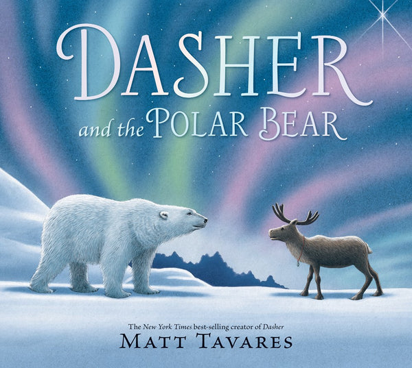 Dasher and the Polar Bear (Sept. 2025)