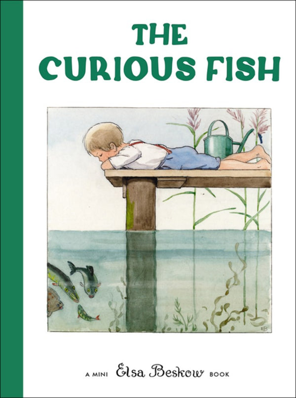 Curious Fish—Mini