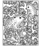 Woodland Magic Painting Book (Oct. 2026)