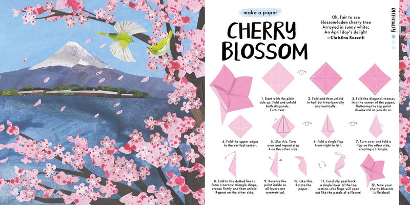 Blossom Origami (coming soon)