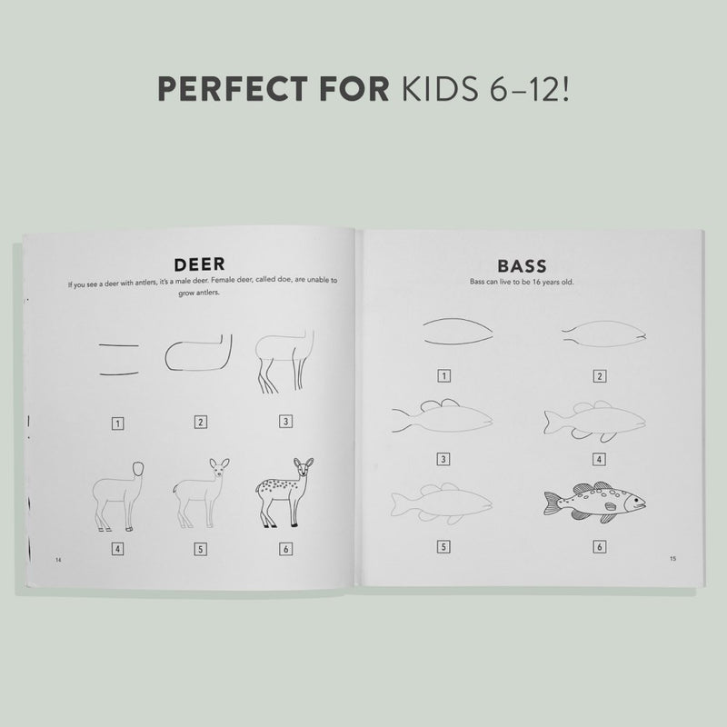 How to Draw Woodland Creatures for Kids (coming soon)