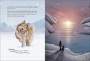 Polar Night Adventure - Coming Soon
