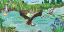 Songs of the Birds BB