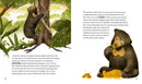 Secrets of the Forest: 15 Bedtime Stories... (coming soon)