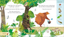 Bear and Bird: Find a Footprint
