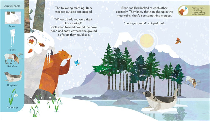 Bear and Bird: Winter Wonderland Adventure