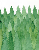 Forest - Limited Qty.