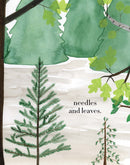 Forest - Limited Qty.