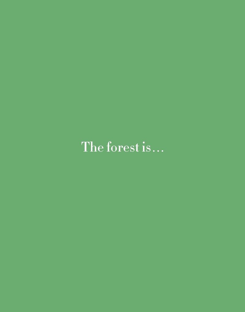Forest (coming April 2024)