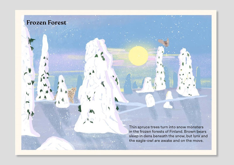 A Family of Trees (fold-out board book)