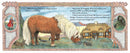 Snowy Nap (board book) - Oct. 2026