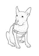 Best Dog in the World: Essays on Love