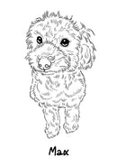 Best Dog in the World: Essays on Love