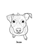 Best Dog in the World: Essays on Love