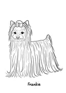 Best Dog in the World: Essays on Love