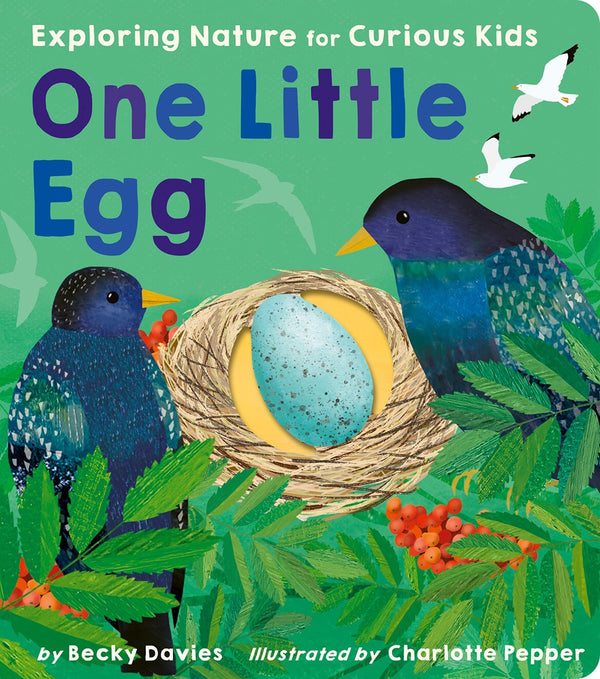 One Little Egg (Exploring Nature)