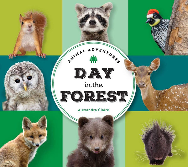 Animal Adventures: Day in the Forest (Feb. 2025)