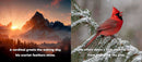 Animal Adventures: Day in the Snow - Coming Soon