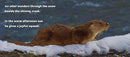 Animal Adventures: Day in the Snow - Coming Soon