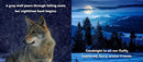 Animal Adventures: Day in the Snow - Coming Soon