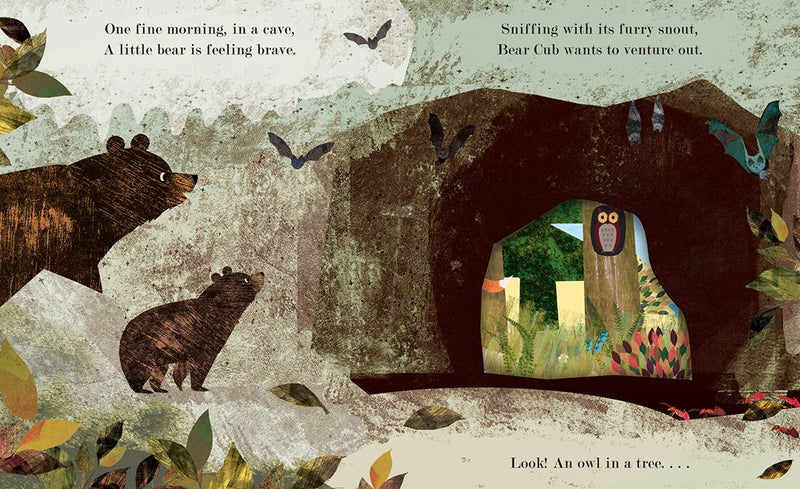 HOME: A Peek-Through Board Book (11/25)