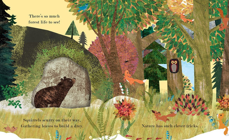 HOME: A Peek-Through Board Book (11/25)