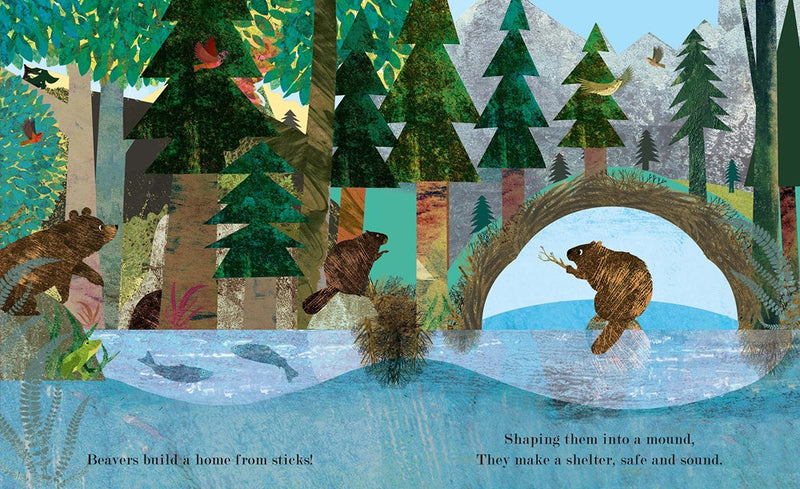 HOME: A Peek-Through Board Book (11/25)