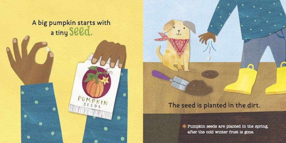 from seed to plant book From Seed to Pumpkin (Hello World!)