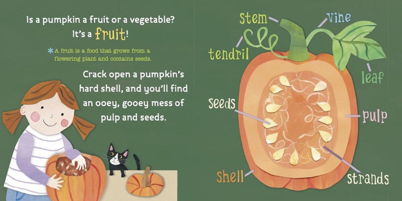 planting pumpkin seeds preschool From Seed to Pumpkin (Hello World!)