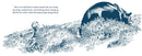 Blueberries for Sal (board book) - Coming Soon