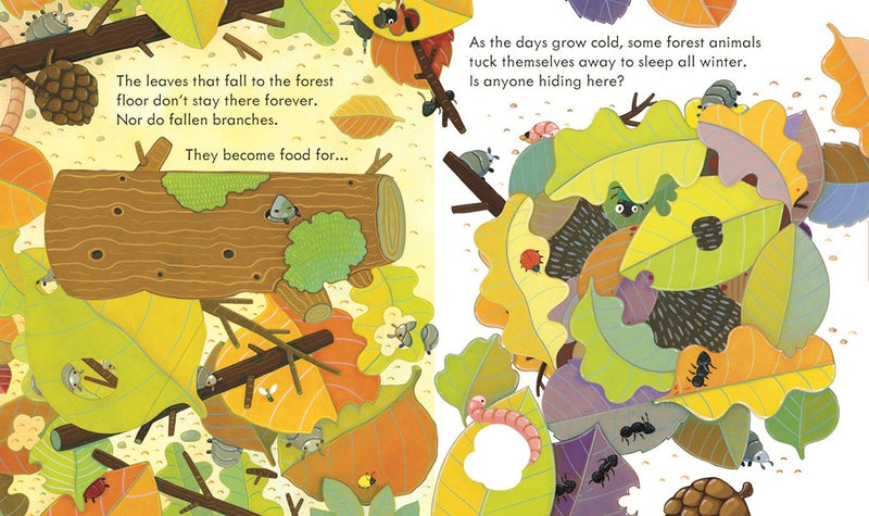 Peek Inside the Forest (coming soon)