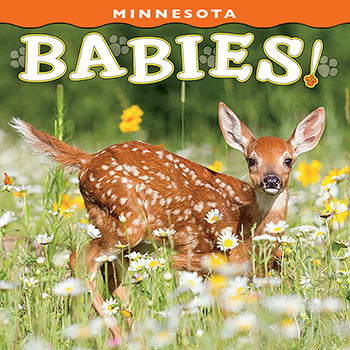 Minnesota Babies! BB (coming soon)