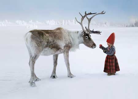 Christmas Wish Blank Notecards (8/pkg.)