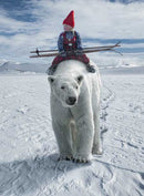 Christmas Wish Blank Notecards (8/pkg.)