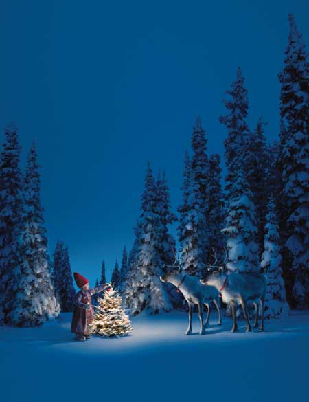 Christmas Wish Christmas Cards