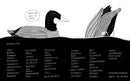 Illustrated Compendium of Amazing Animal Facts
