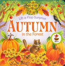 Autumn in the Forest